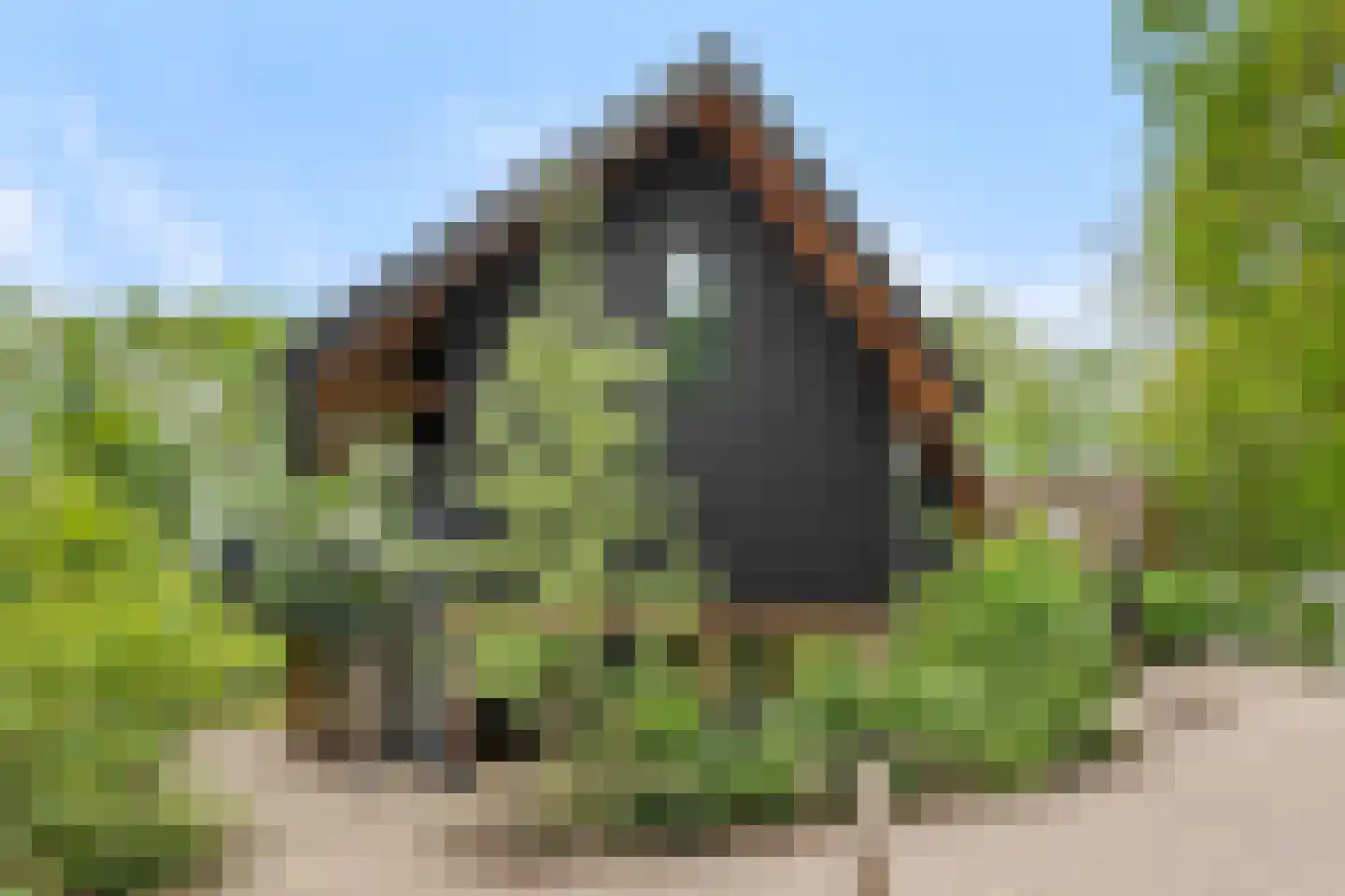 Roekelseweg 54 R 30 Wekerom thumbnail 42