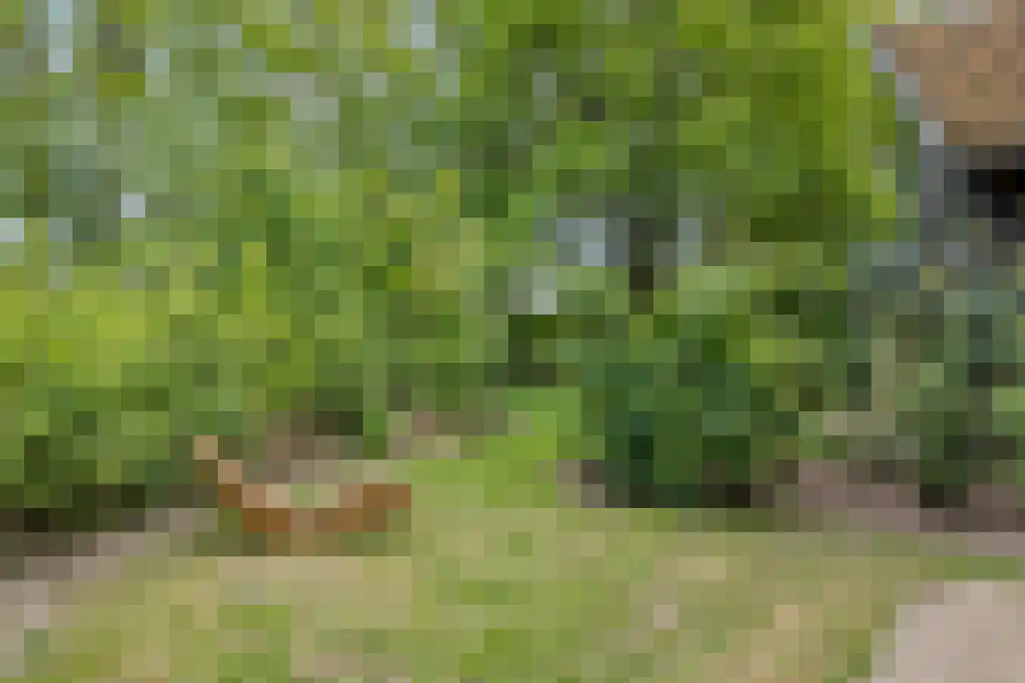 Roekelseweg 54 R 30 Wekerom thumbnail 5