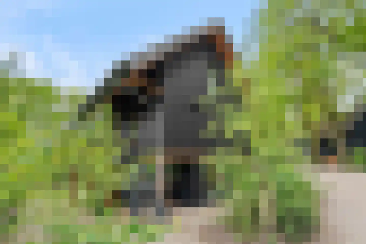 Roekelseweg 54 R 30 Wekerom thumbnail 6