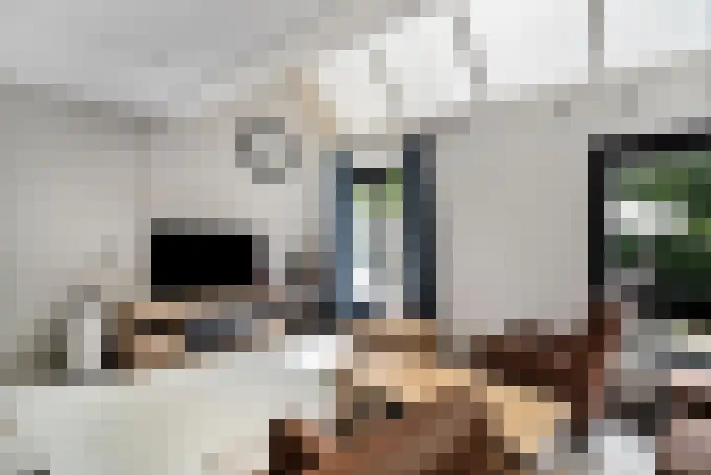 Roekenbos 108 Hoofddorp thumbnail 18