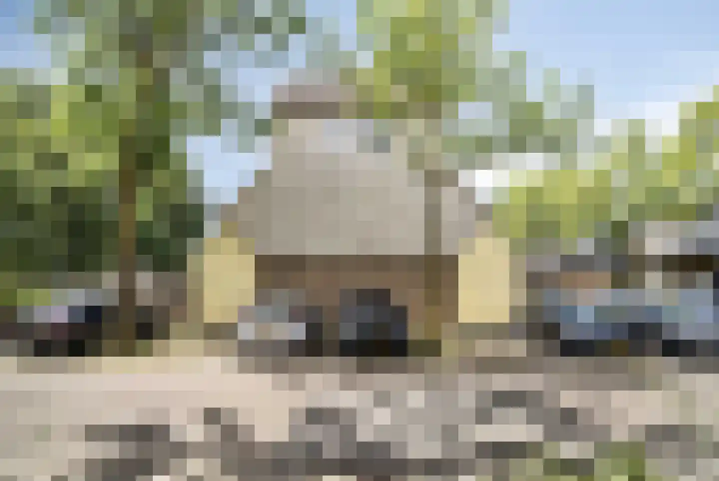 Roekenbos 108 Hoofddorp thumbnail 22