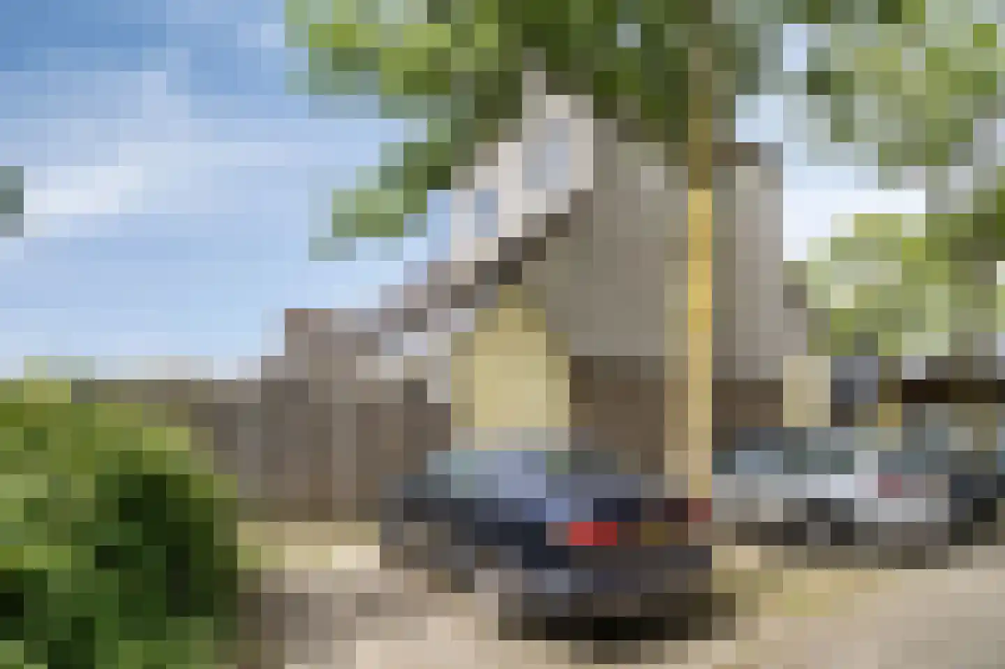 Roekenbos 108 Hoofddorp thumbnail 24