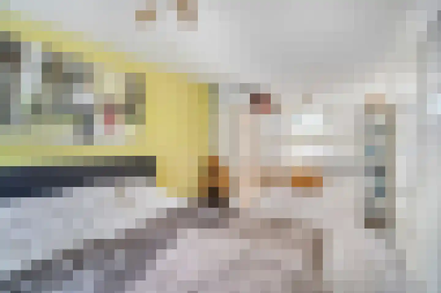 Roekenbos 108 Hoofddorp thumbnail 37