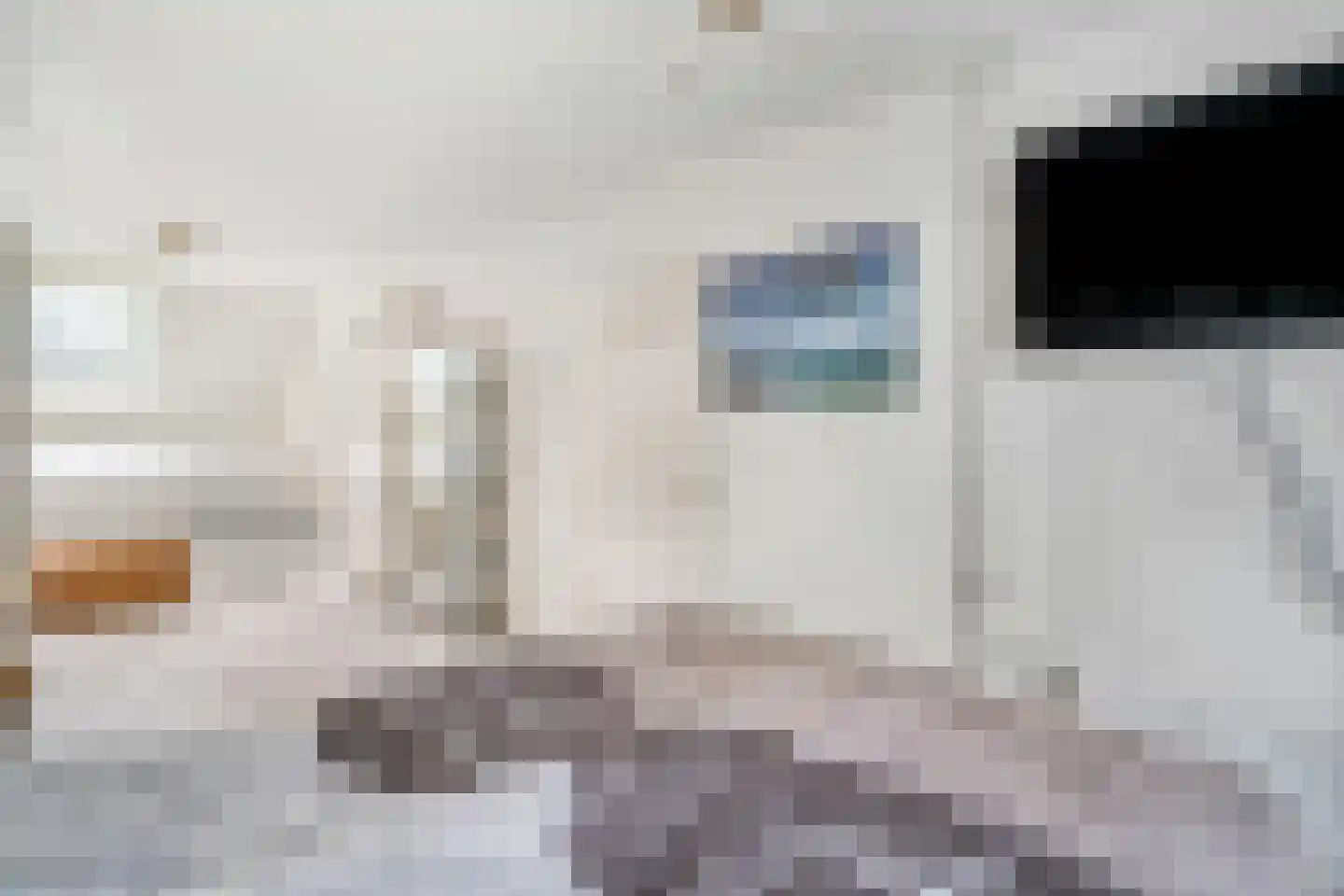 Roekenbos 108 Hoofddorp thumbnail 38