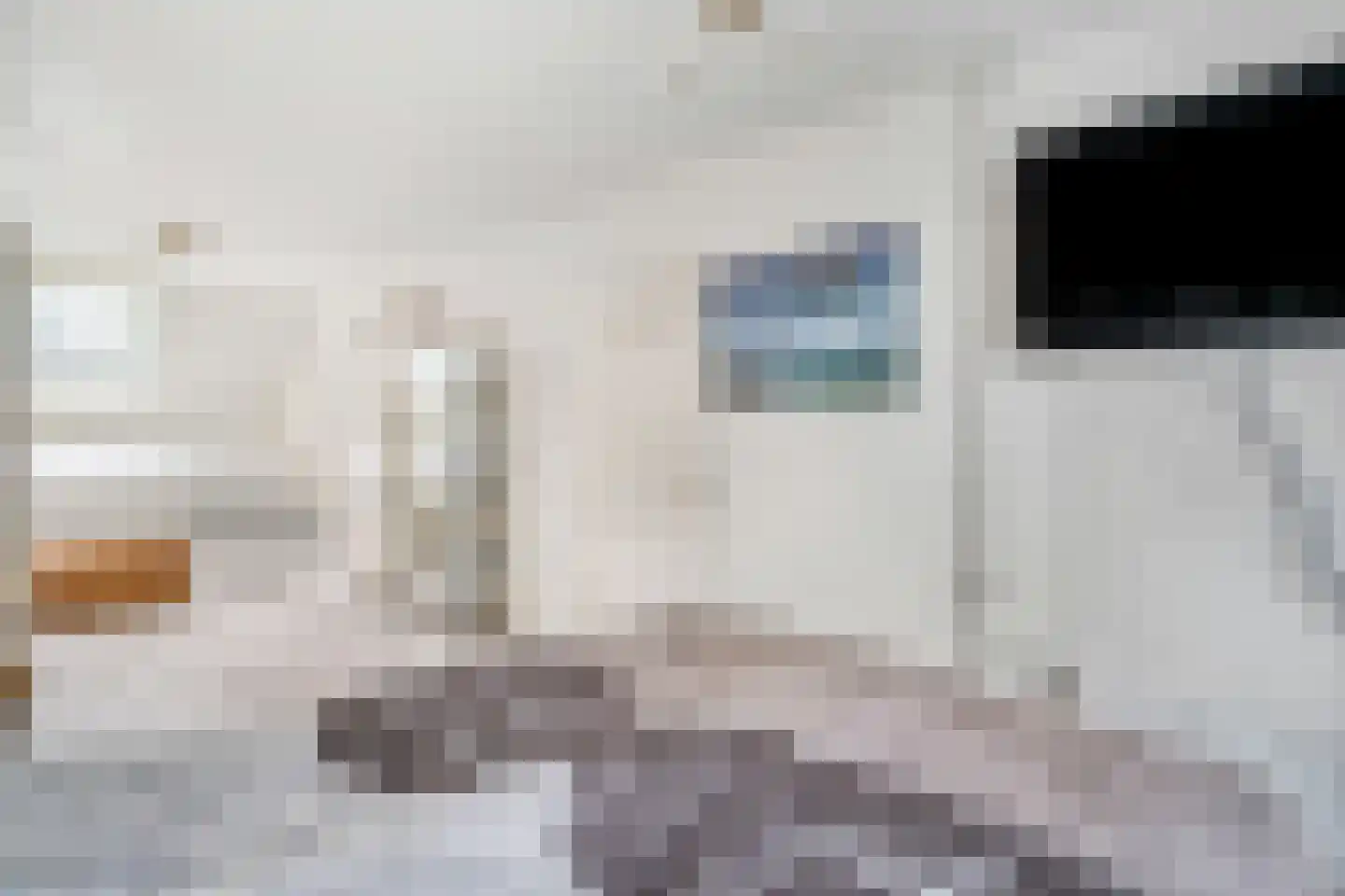 Roekenbos 108 Hoofddorp thumbnail 38