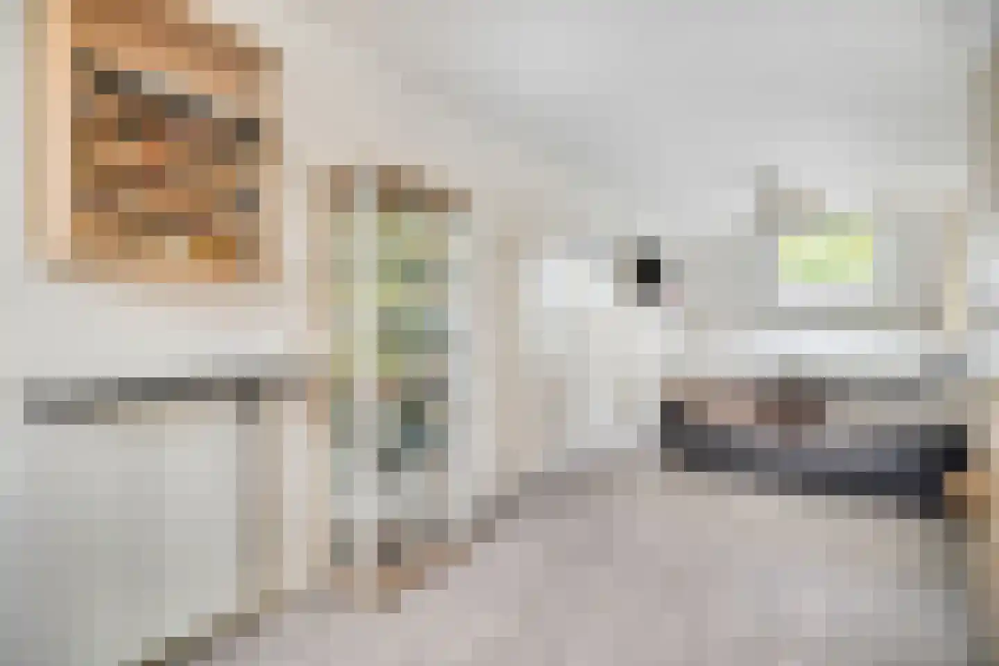 Roekenbos 108 Hoofddorp thumbnail 40