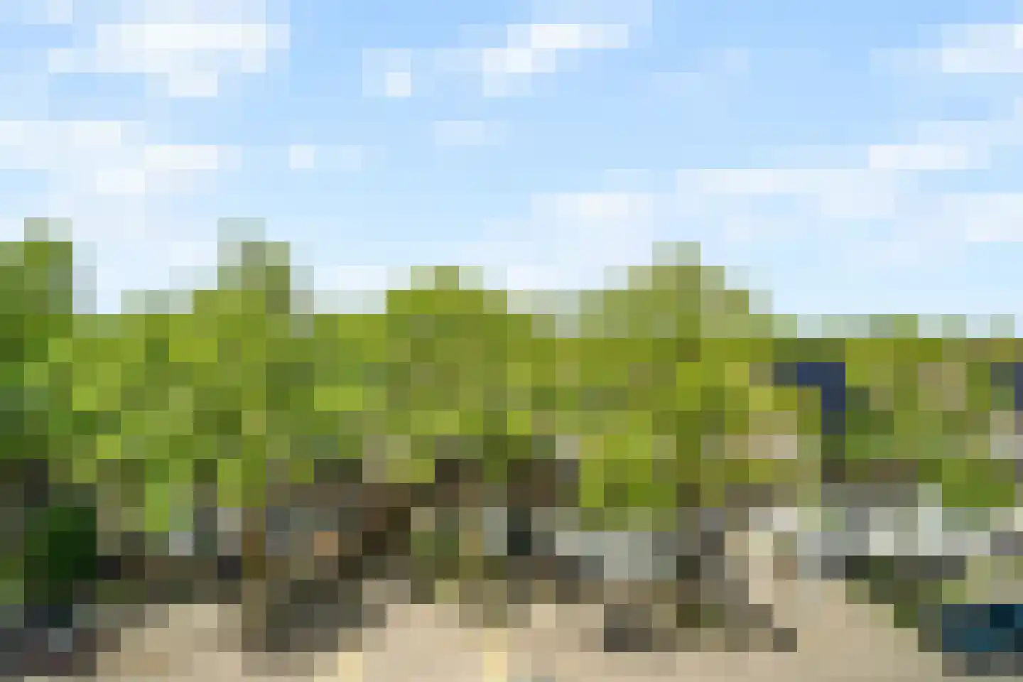 Roekenbos 108 Hoofddorp thumbnail 49