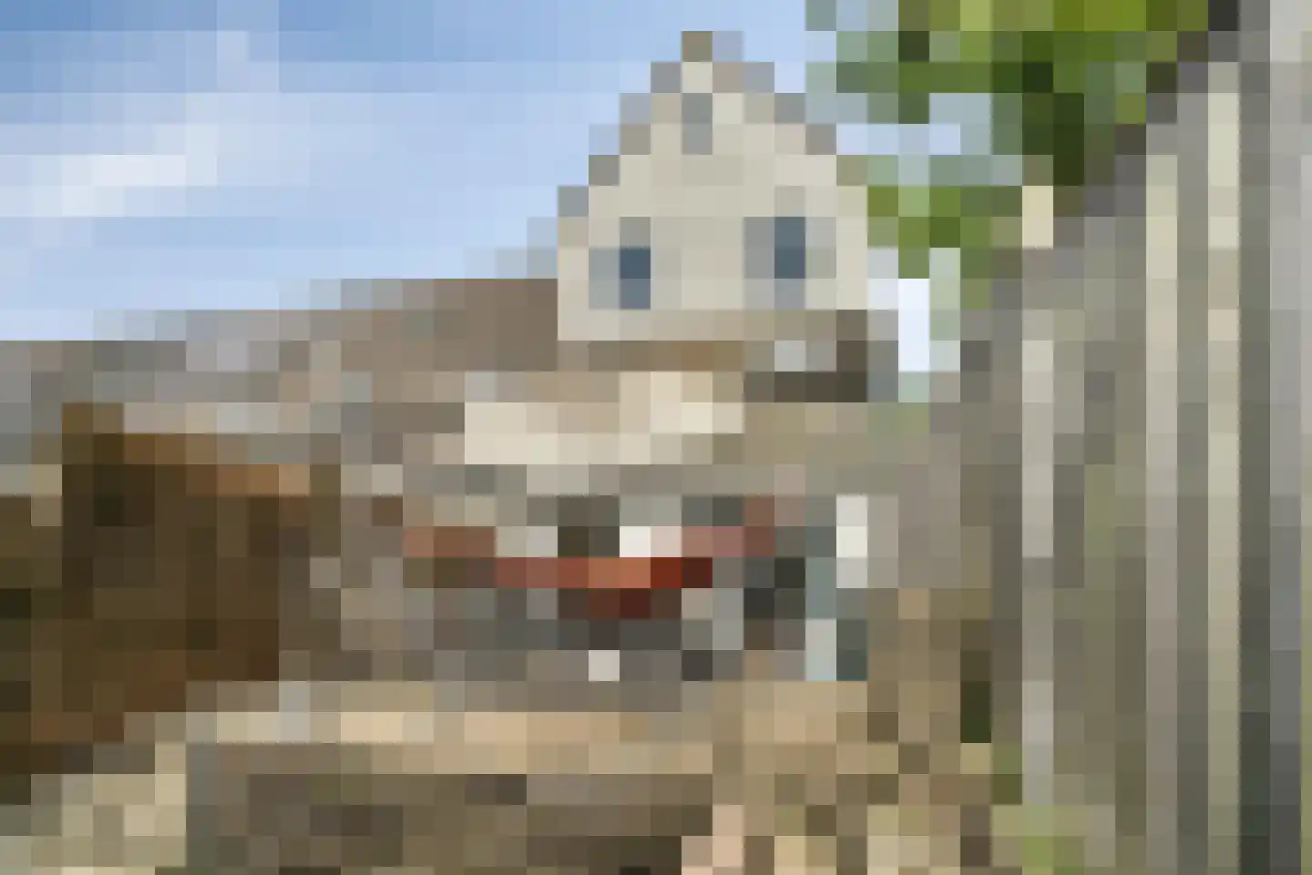 Roekenbos 108 Hoofddorp thumbnail 5