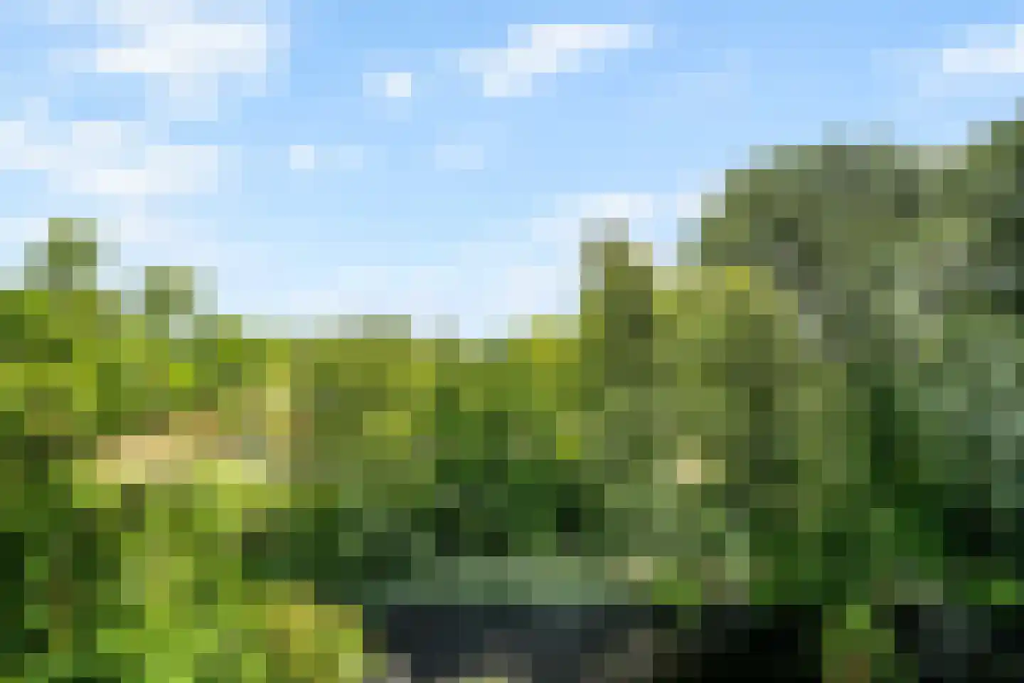 Roekenbos 108 Hoofddorp thumbnail 58