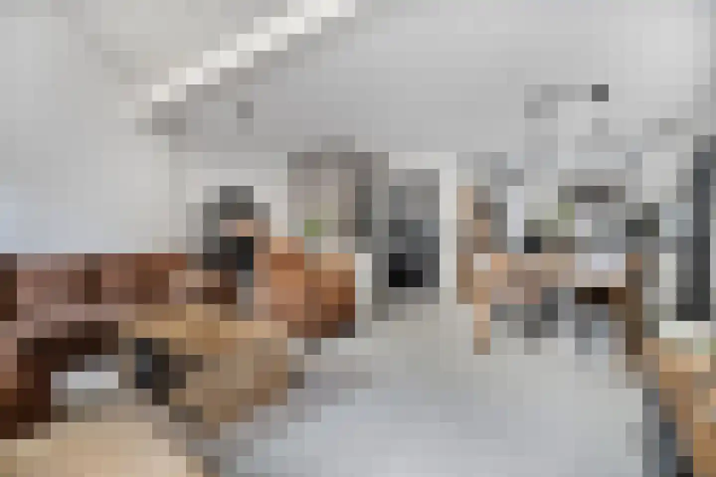 Roekenbos 108 Hoofddorp thumbnail 6