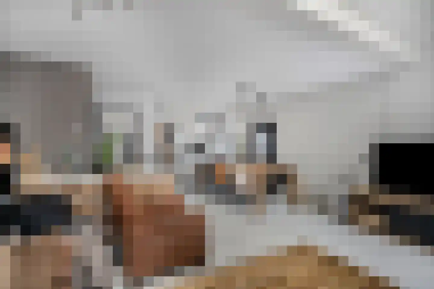Roekenbos 108 Hoofddorp thumbnail 8