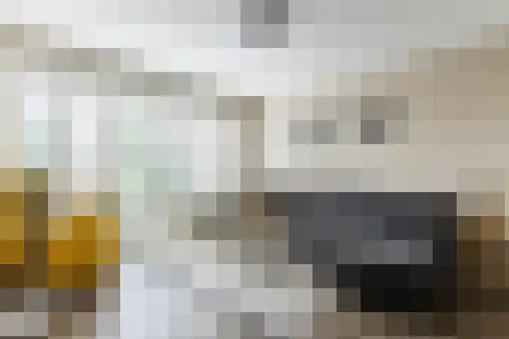Roekenbos 139 Hoofddorp thumbnail 10