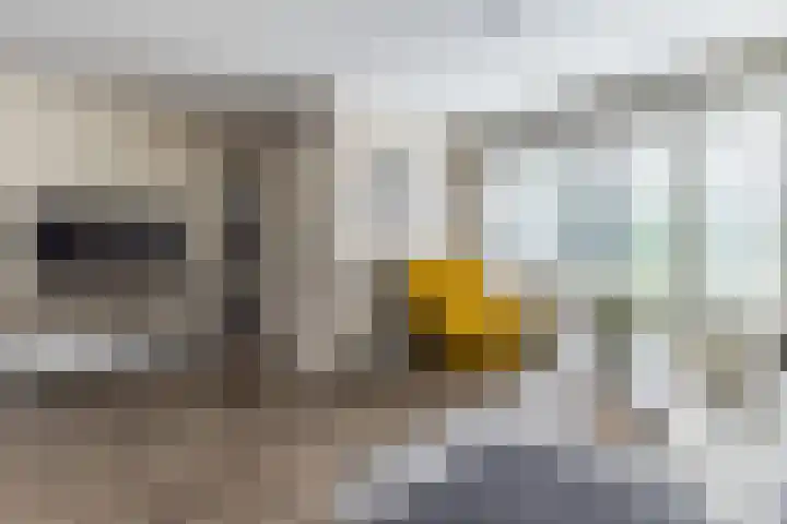 Roekenbos 139 Hoofddorp thumbnail 11