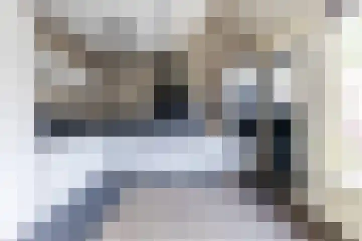 Roekenbos 139 Hoofddorp thumbnail 13