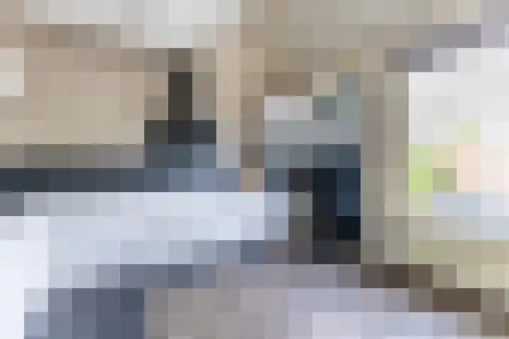 Roekenbos 139 Hoofddorp thumbnail 14