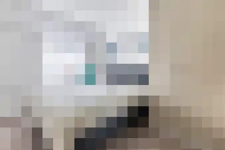 Roekenbos 139 Hoofddorp thumbnail 20