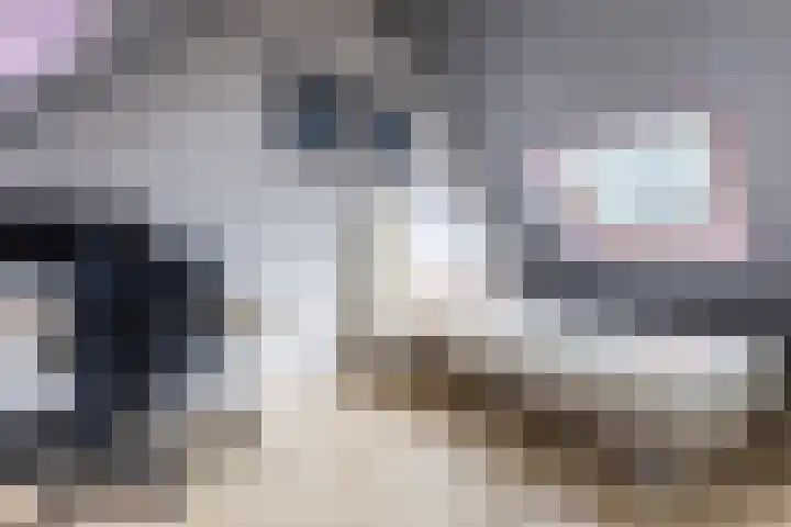 Roekenbos 139 Hoofddorp thumbnail 25