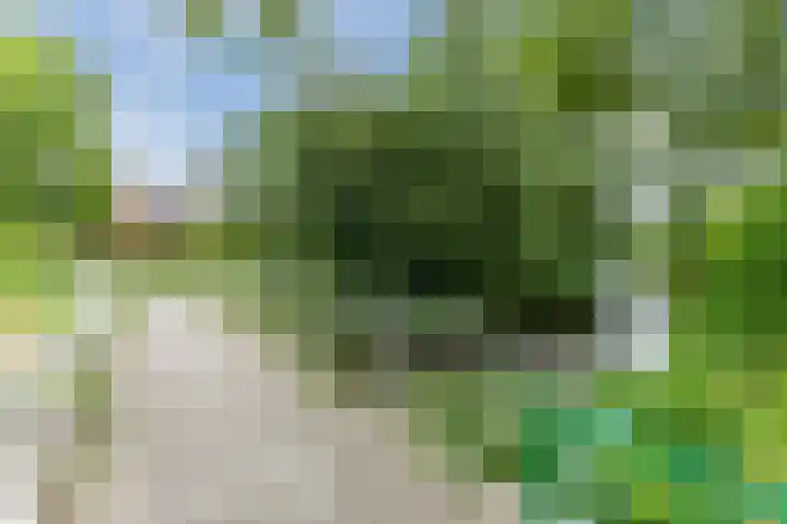 Roekenbos 139 Hoofddorp thumbnail 30