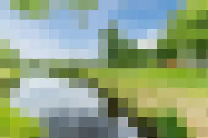 Roekenbos 139 Hoofddorp thumbnail 31