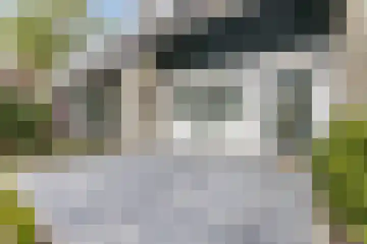 Roekenbos 139 Hoofddorp thumbnail 6