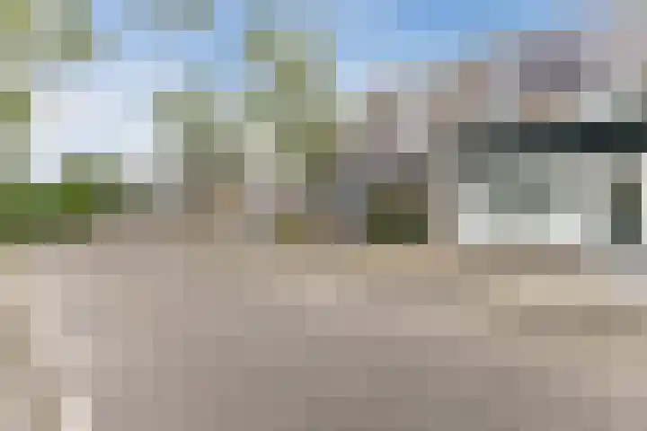 Roekenbos 139 Hoofddorp thumbnail 7