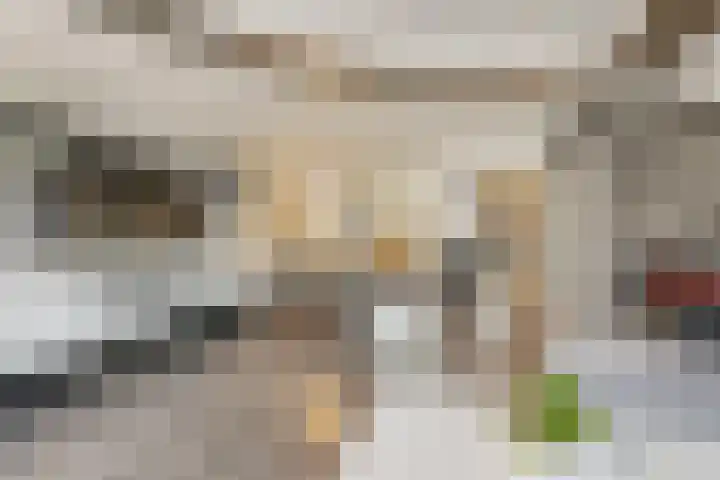 Roekenbos 143 Hoofddorp thumbnail 10