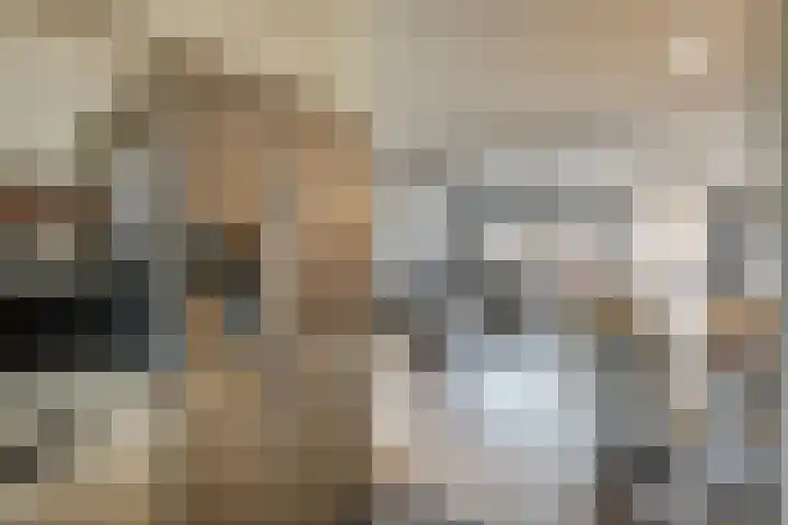 Roekenbos 143 Hoofddorp thumbnail 16