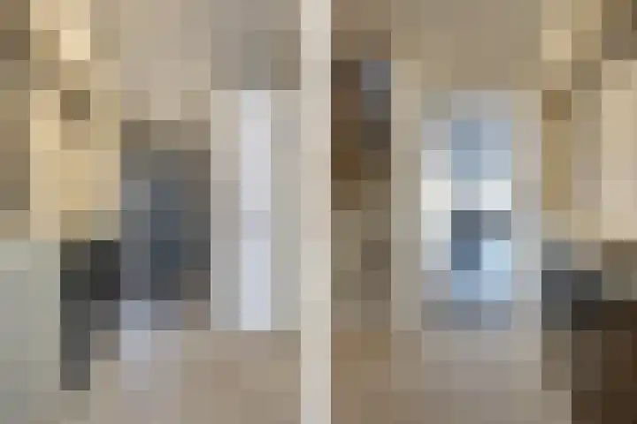 Roekenbos 143 Hoofddorp thumbnail 19