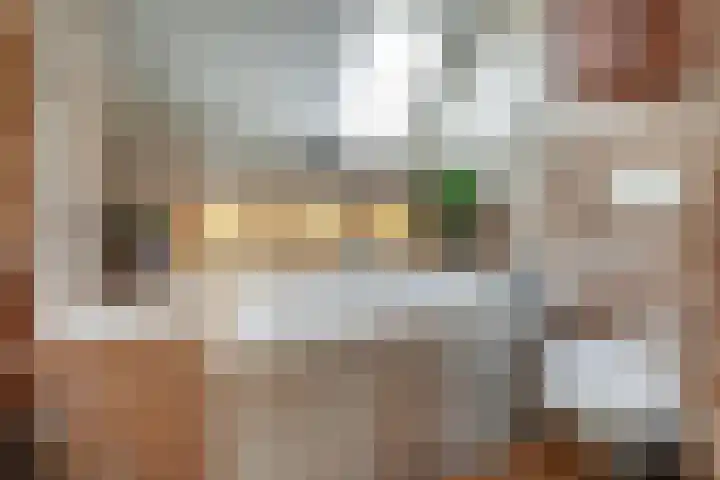 Roekenbos 143 Hoofddorp thumbnail 22