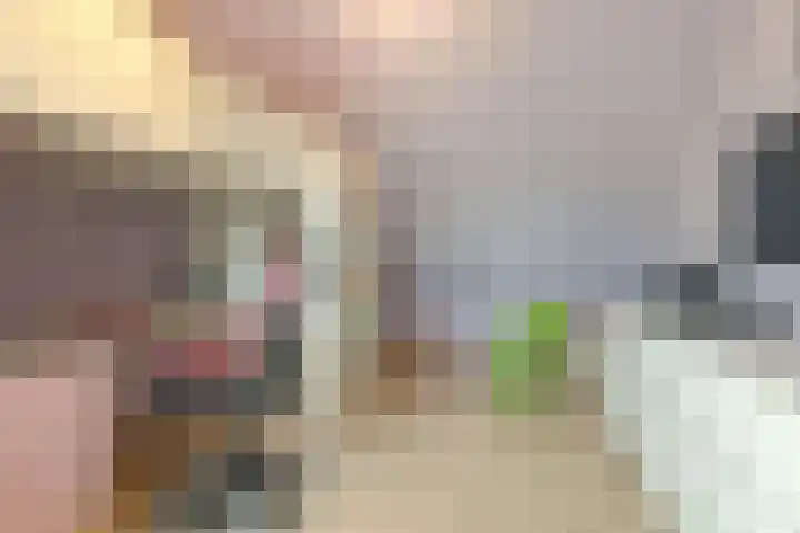 Roekenbos 143 Hoofddorp thumbnail 27