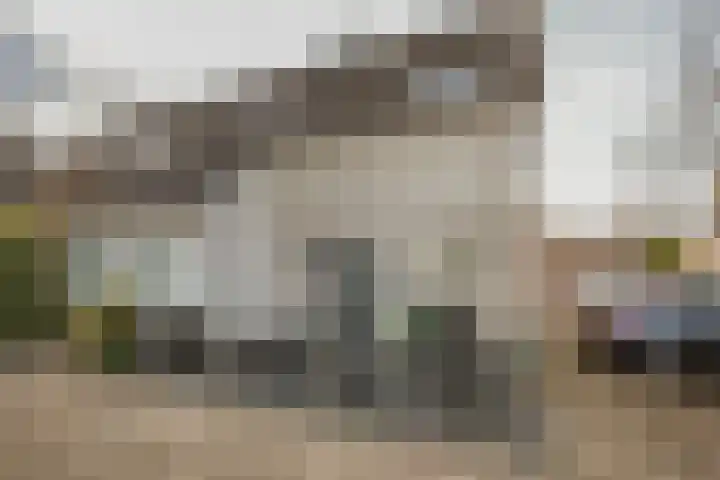Roekenbos 143 Hoofddorp thumbnail 41