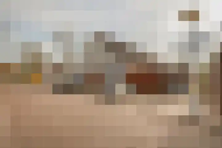 Roekenbos 143 Hoofddorp thumbnail 45