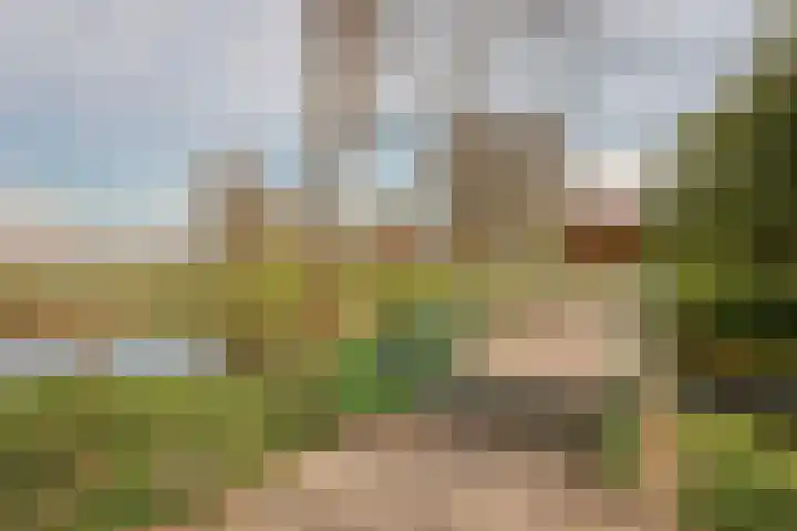 Roekenbos 143 Hoofddorp thumbnail 47