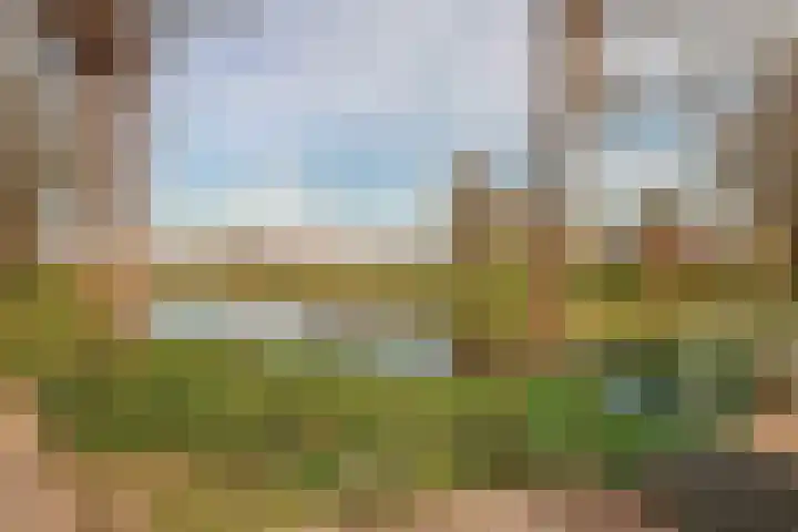 Roekenbos 143 Hoofddorp thumbnail 48