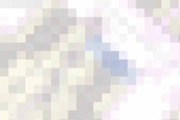 Roekenbos 143 Hoofddorp thumbnail 49