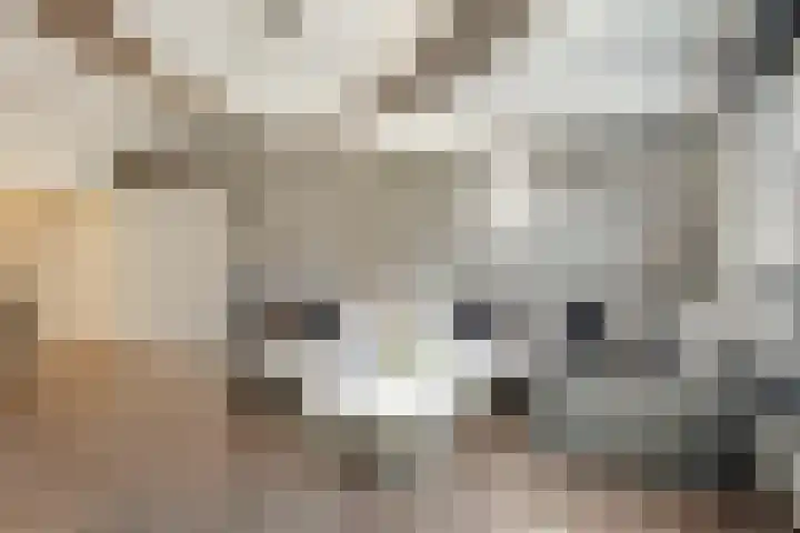 Roekenbos 143 Hoofddorp thumbnail 8