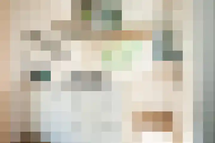 Roekenbos 182 Hoofddorp thumbnail 13