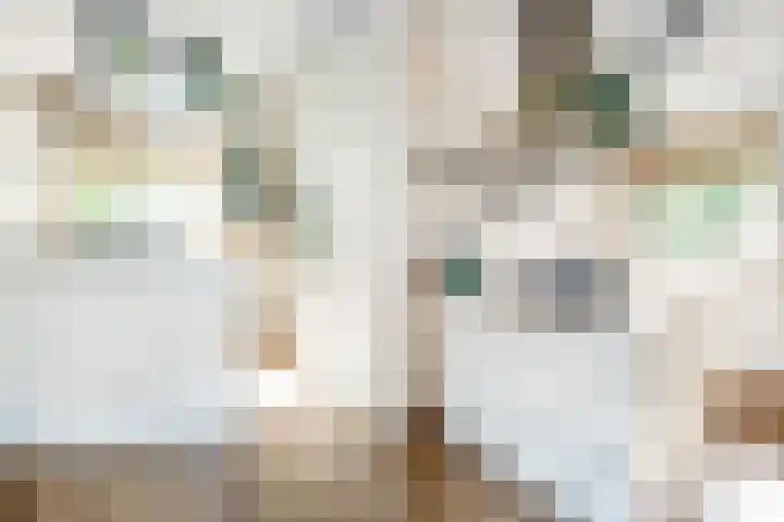 Roekenbos 182 Hoofddorp thumbnail 14