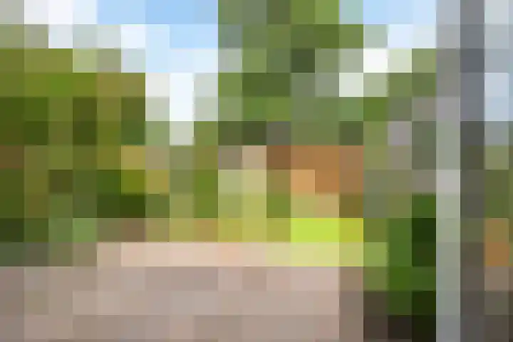 Roekenbos 182 Hoofddorp thumbnail 27