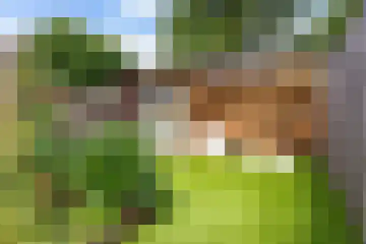 Roekenbos 182 Hoofddorp thumbnail 28