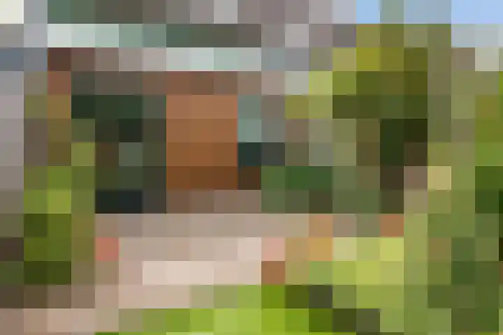 Roekenbos 182 Hoofddorp thumbnail 29