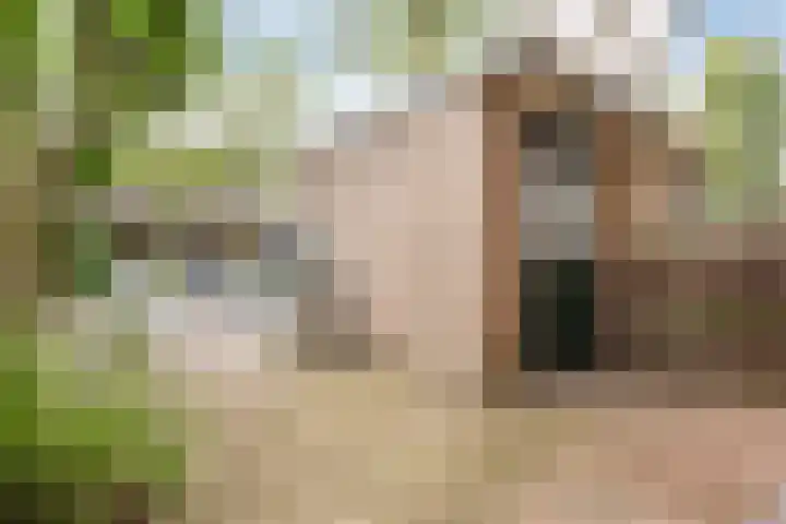 Roekenbos 182 Hoofddorp thumbnail 30