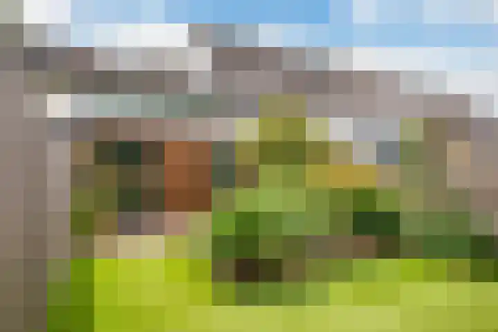 Roekenbos 182 Hoofddorp thumbnail 6