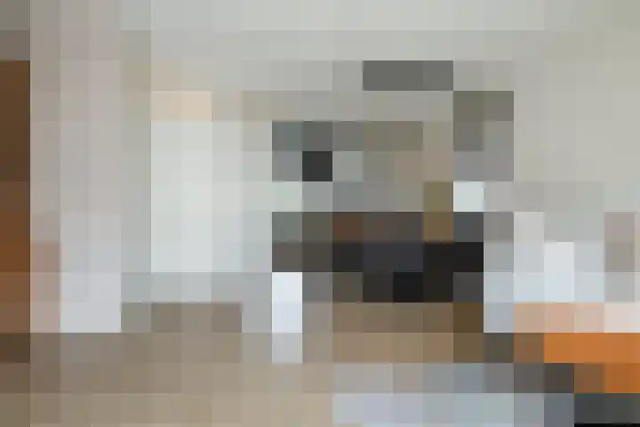 Roekenbos 213 B Hoofddorp thumbnail 10