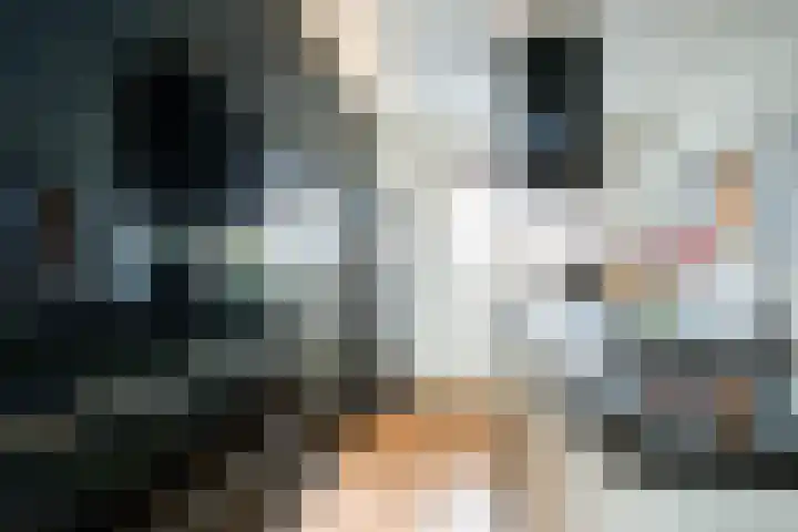 Roekenbos 213 B Hoofddorp thumbnail 12