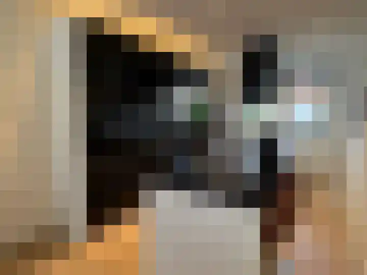Roekenbos 213 B Hoofddorp thumbnail 13
