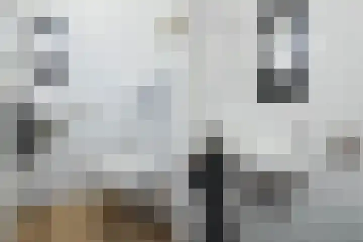 Roekenbos 213 B Hoofddorp thumbnail 15