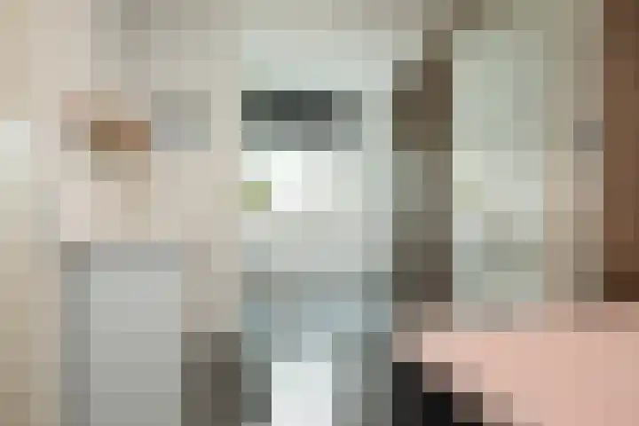 Roekenbos 213 B Hoofddorp thumbnail 22