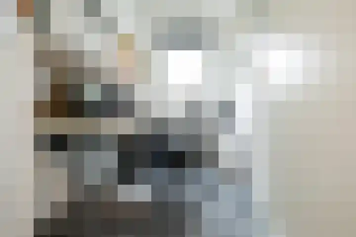 Roekenbos 213 B Hoofddorp thumbnail 29