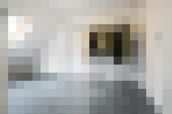 Roekenbos 213 B Hoofddorp thumbnail 30
